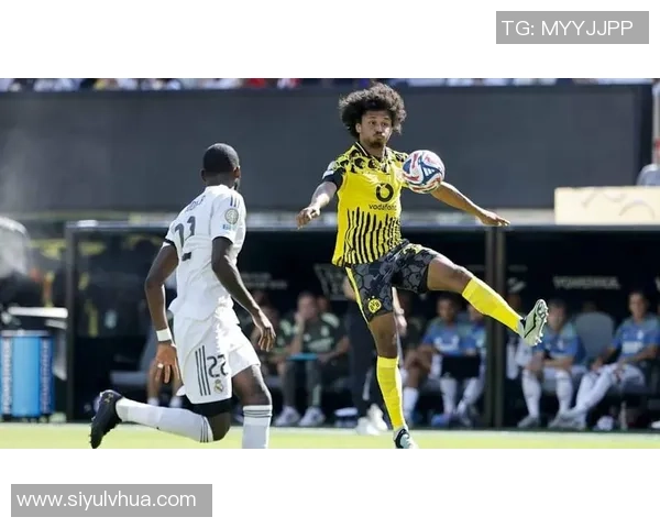 多特蒙德球员身价大幅波动阿德耶米领涨1500万欧元