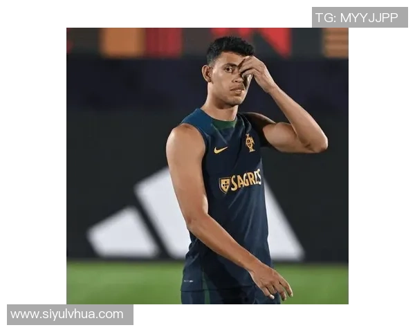 巴甲赛季落幕仅两队无洲际赛资格且不降级桑托斯将征战南美杯